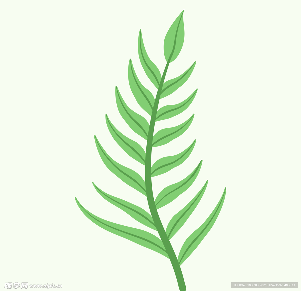 植物