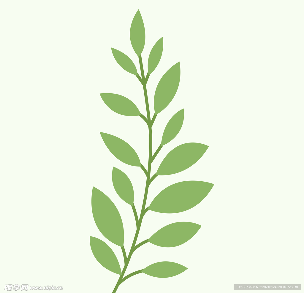 植物