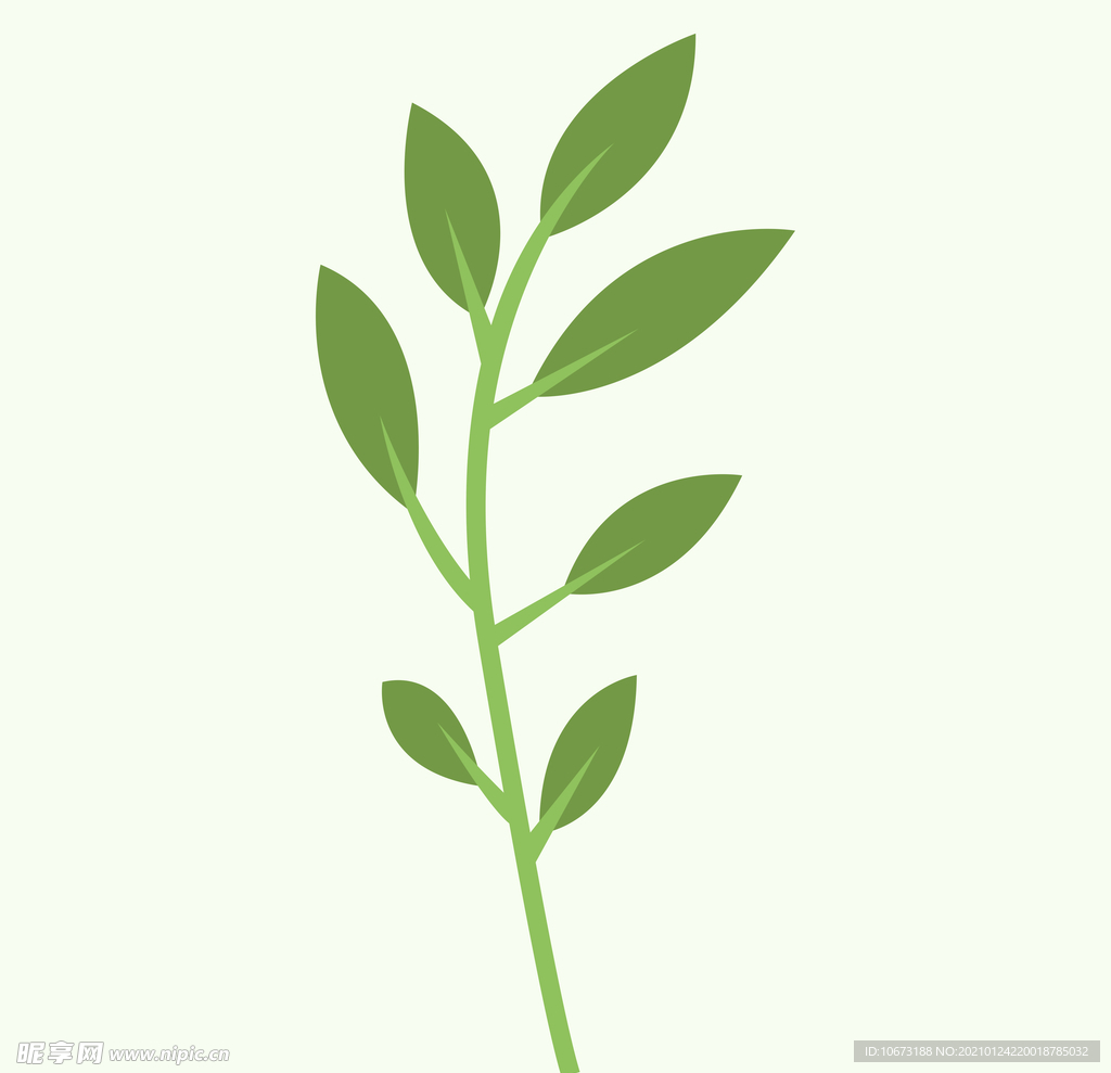 植物