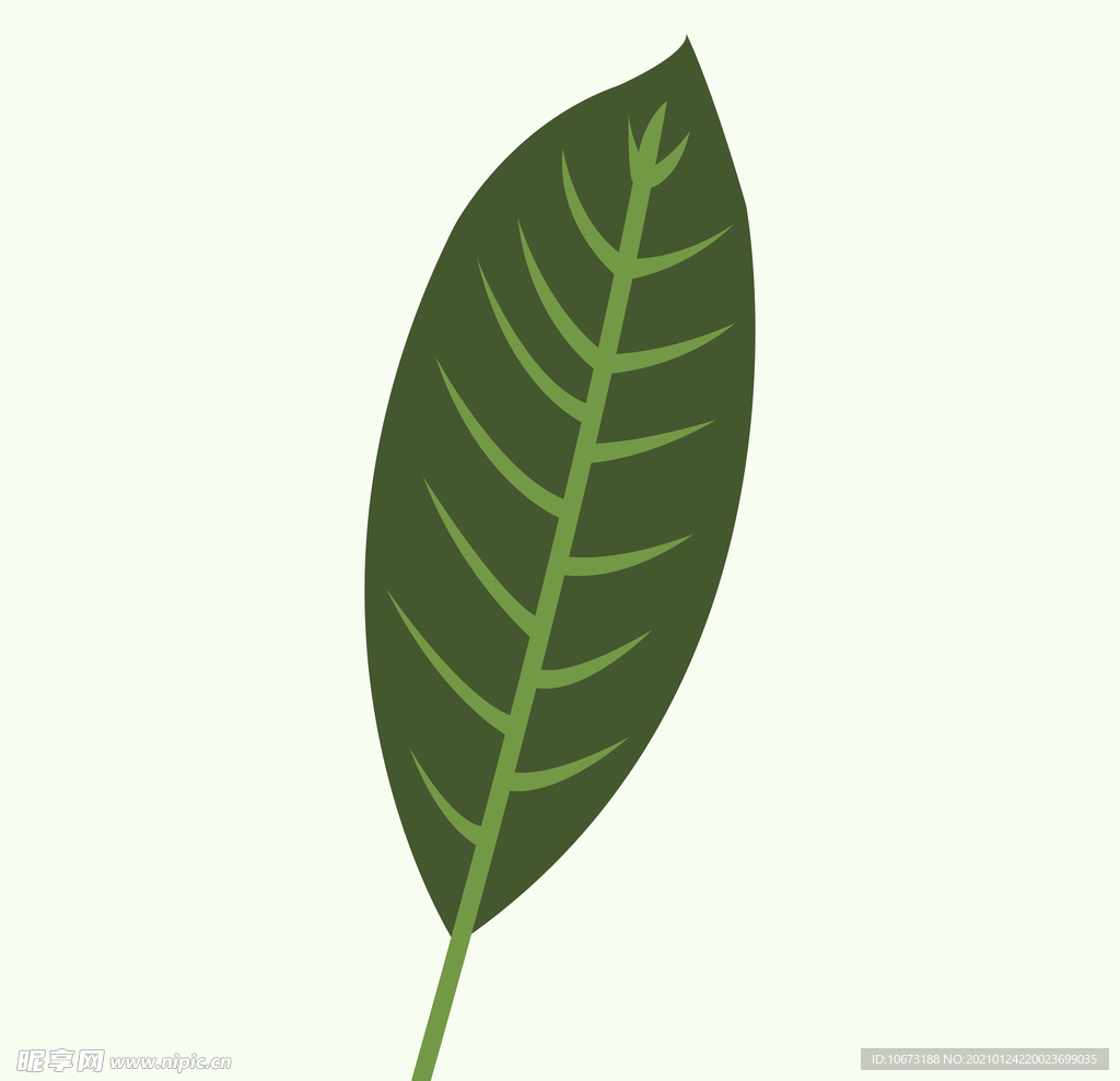 植物