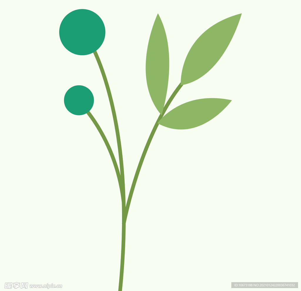 植物