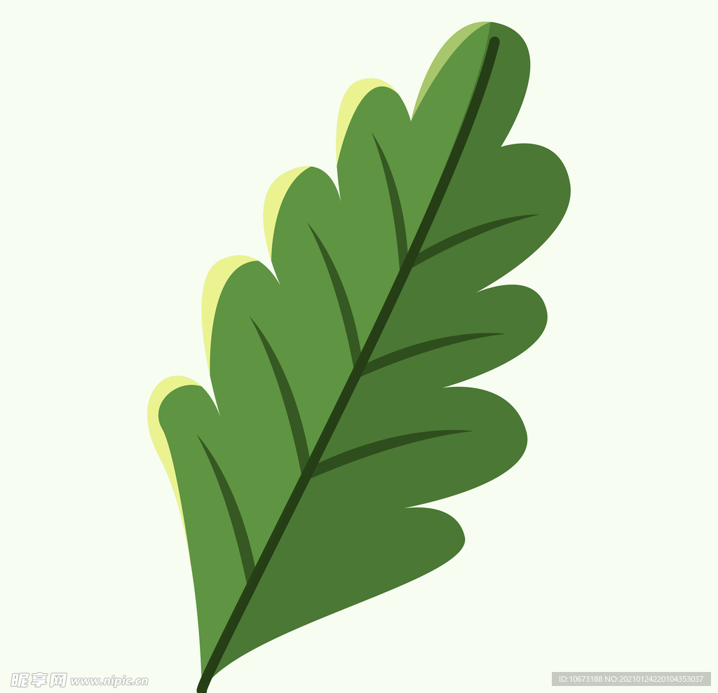 植物