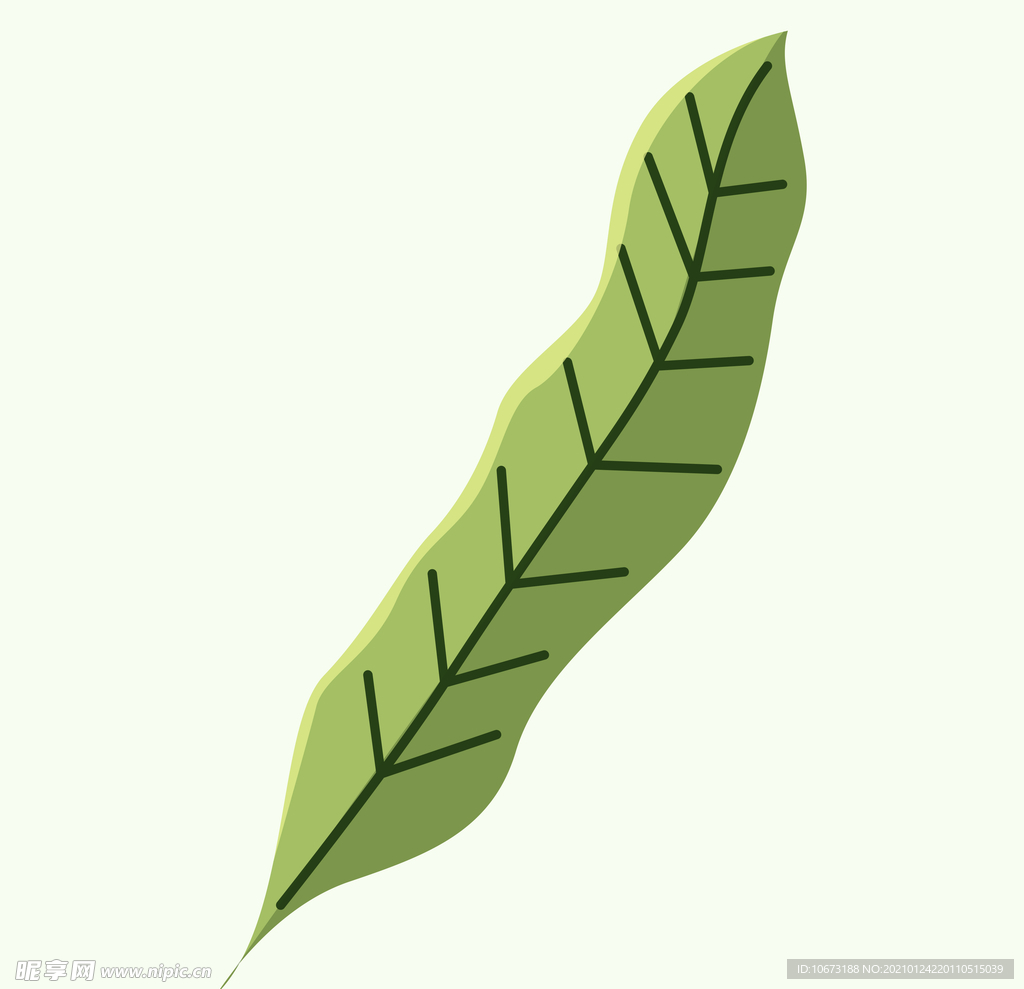 植物