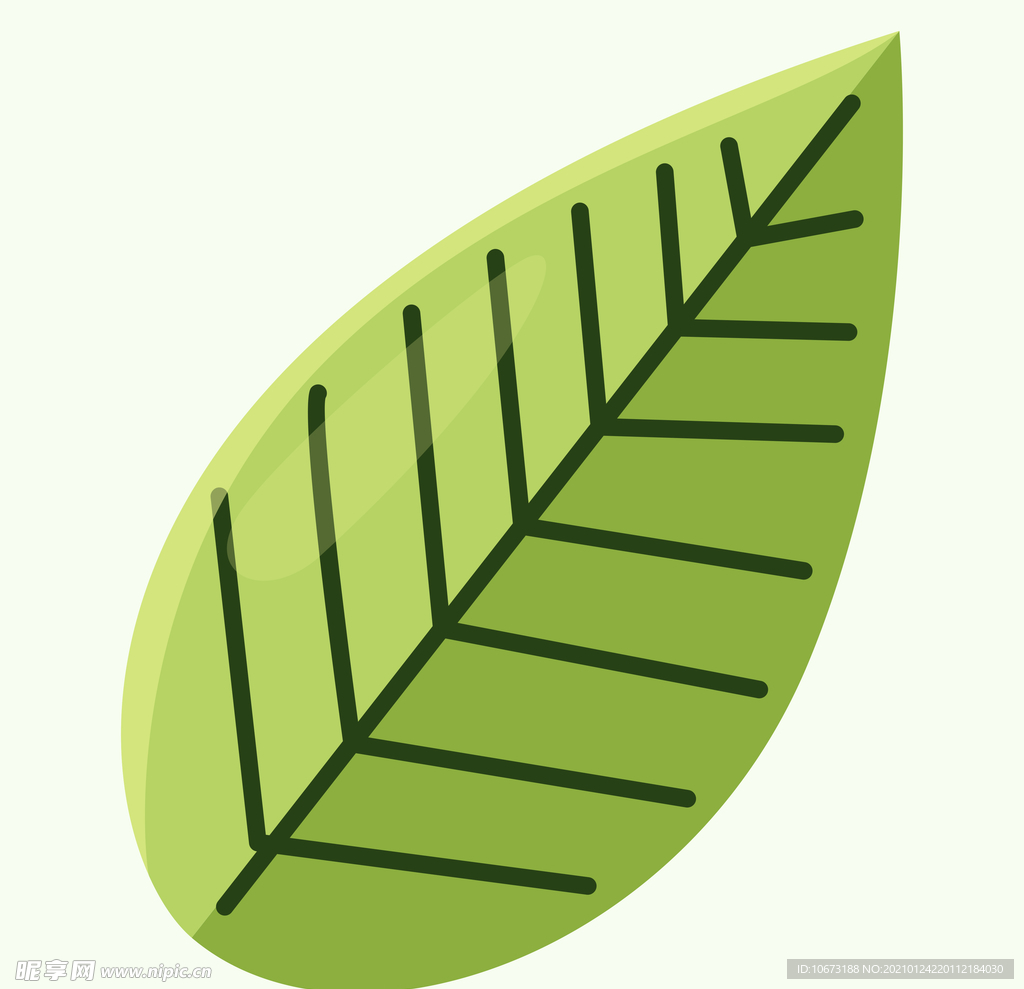 植物