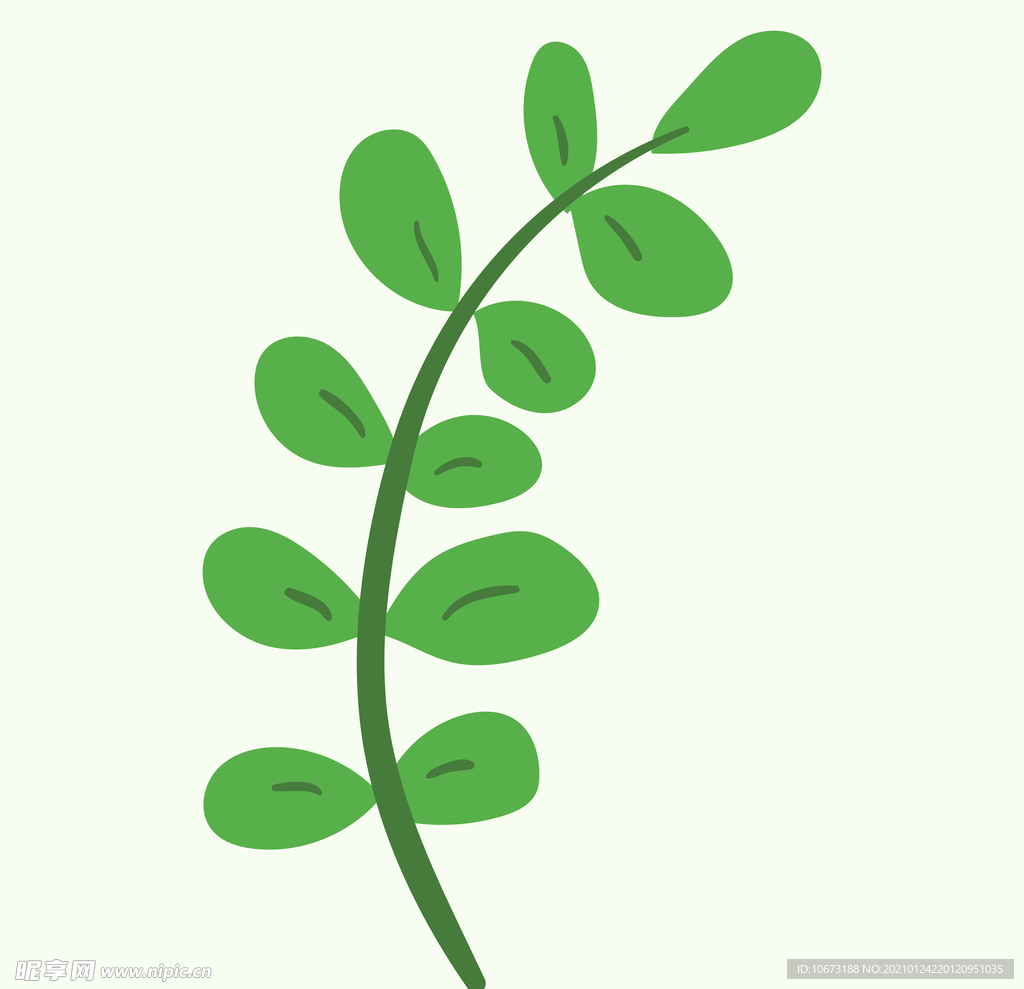 植物