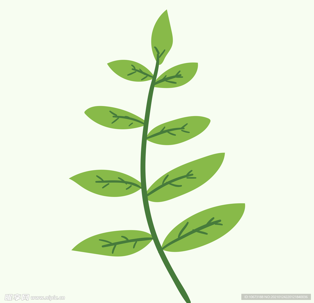 植物