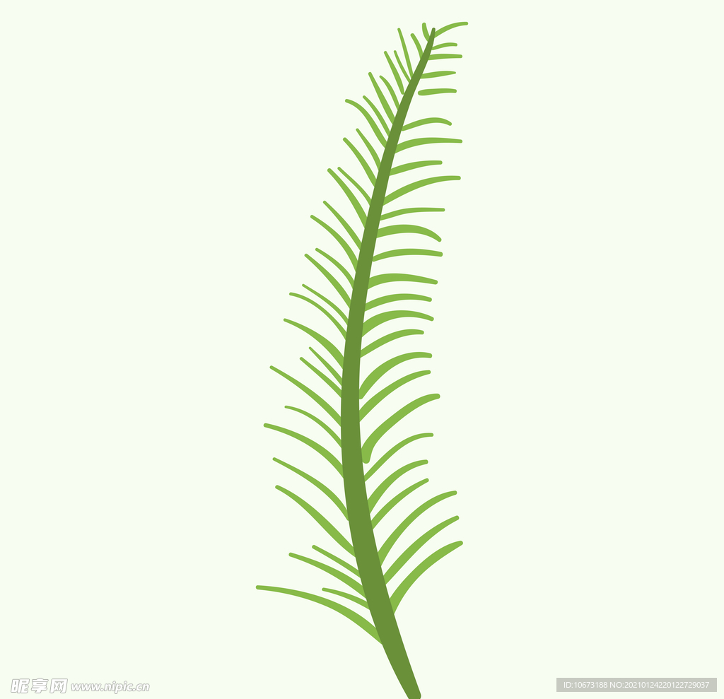 植物