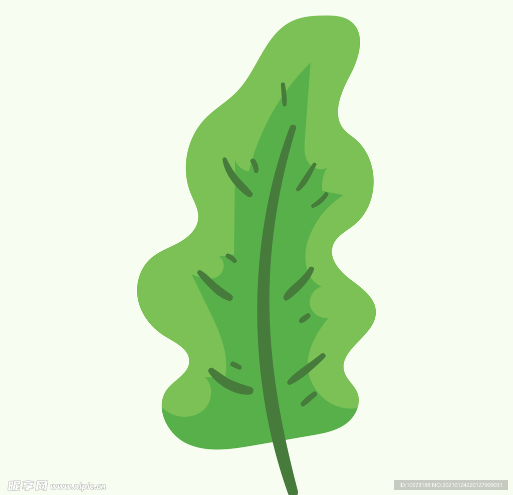 植物