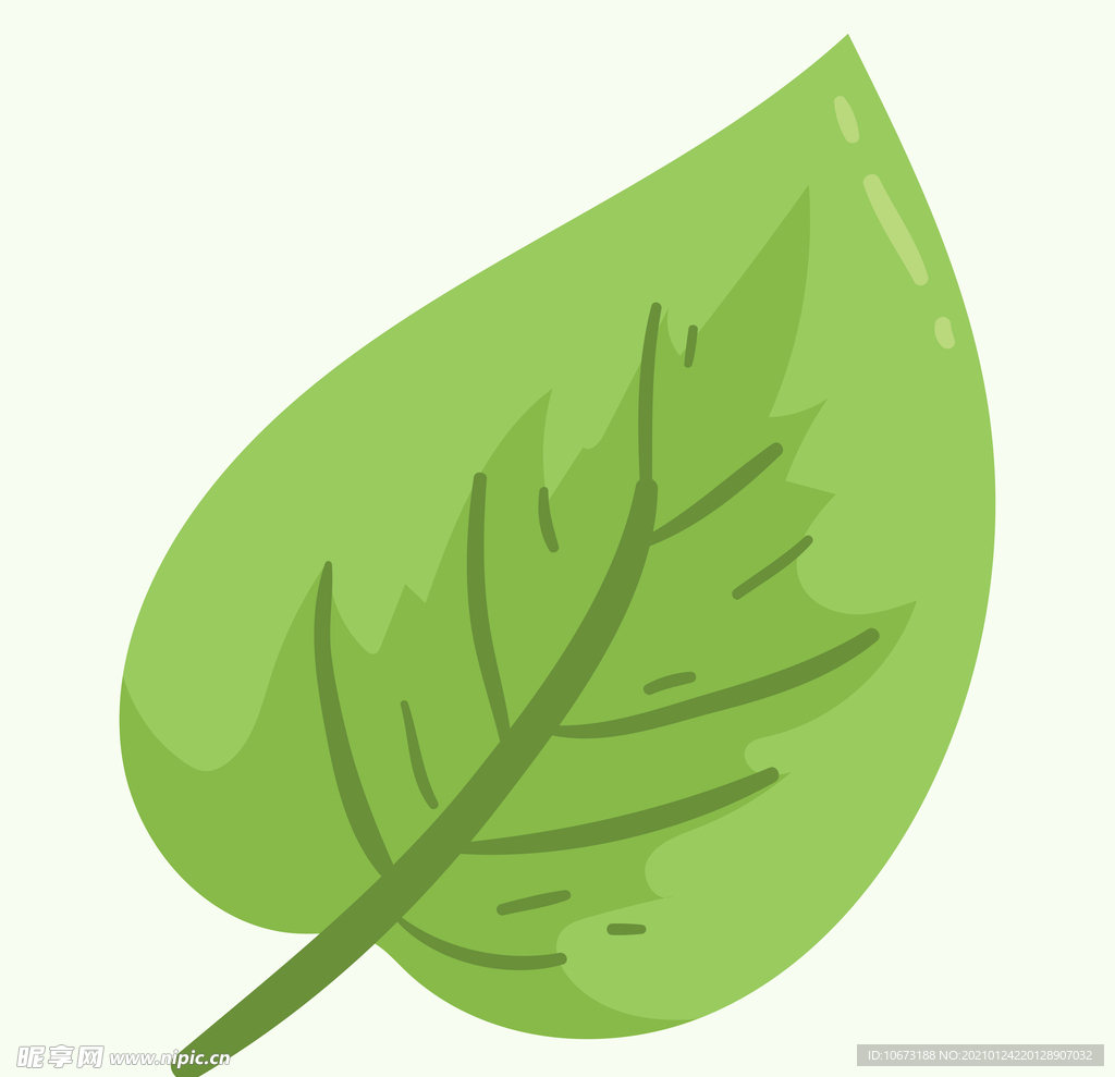 植物