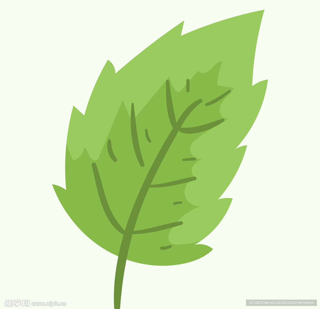 植物