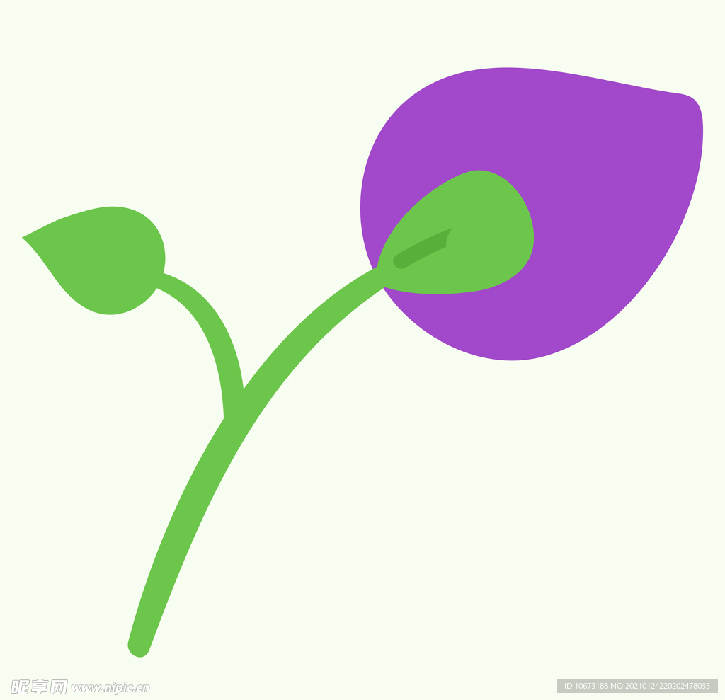 植物