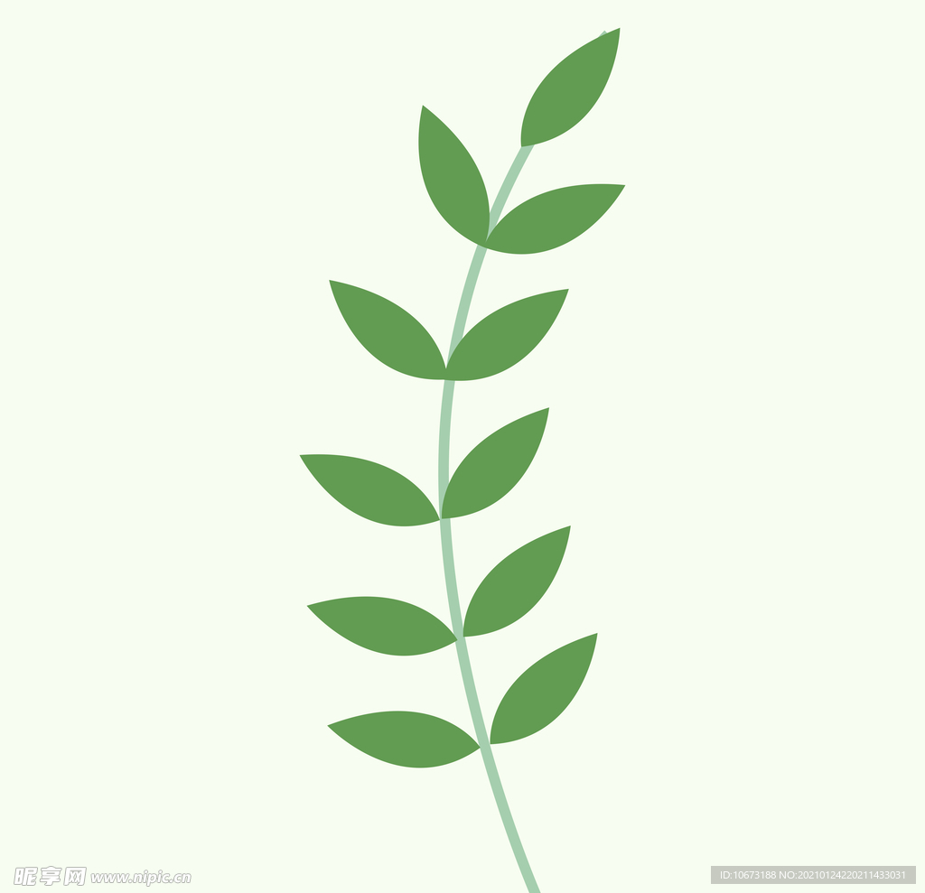 植物