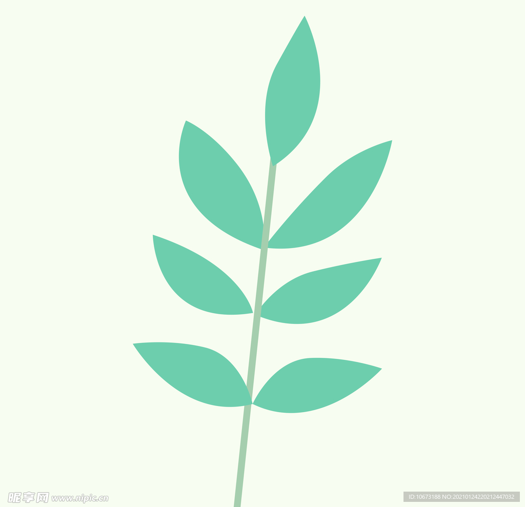 植物