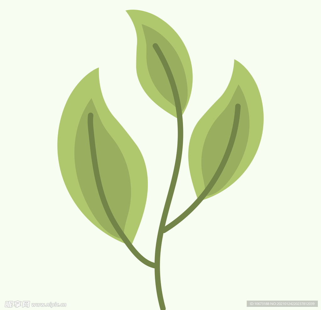 植物