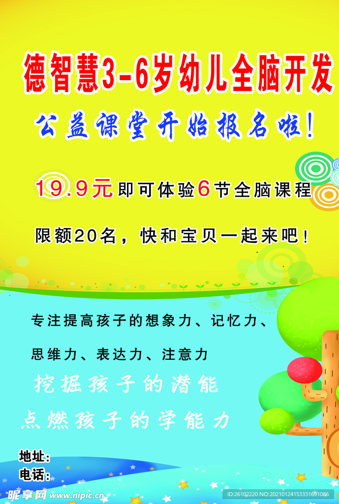 全脑开发