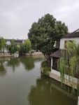 荡口古镇