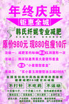 韩式纤妮 年终庆典