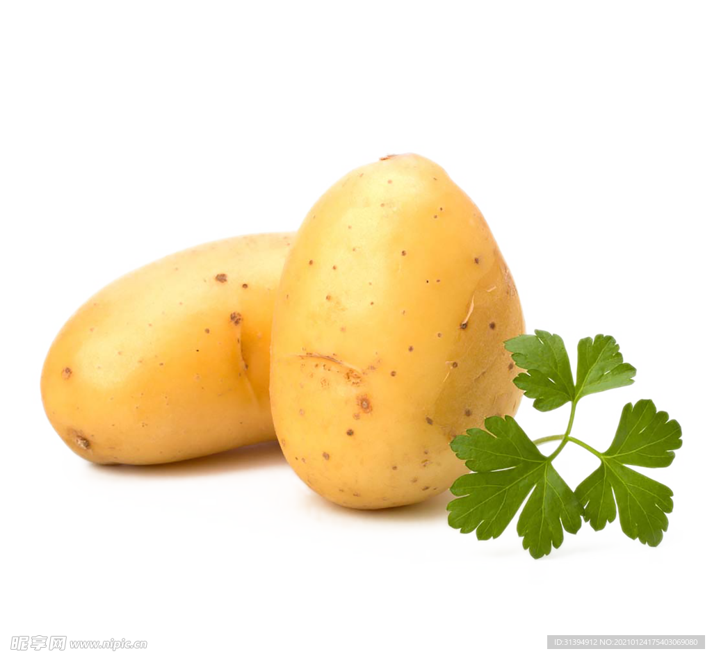 马铃薯