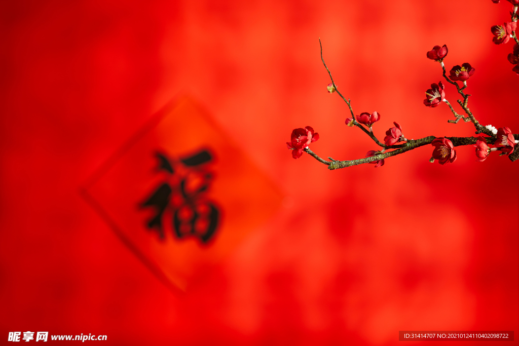 春节