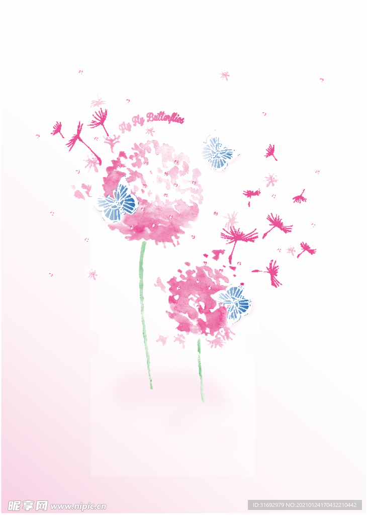 蒲公英