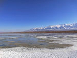 巴里坤湖