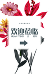 年会