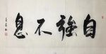杨克东 书法 自强不息