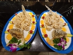 松鼠桂鱼
