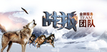 企业文化 团队合作
