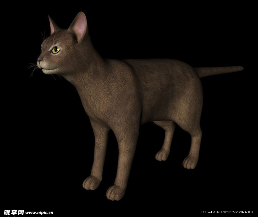 C4D模型 猫