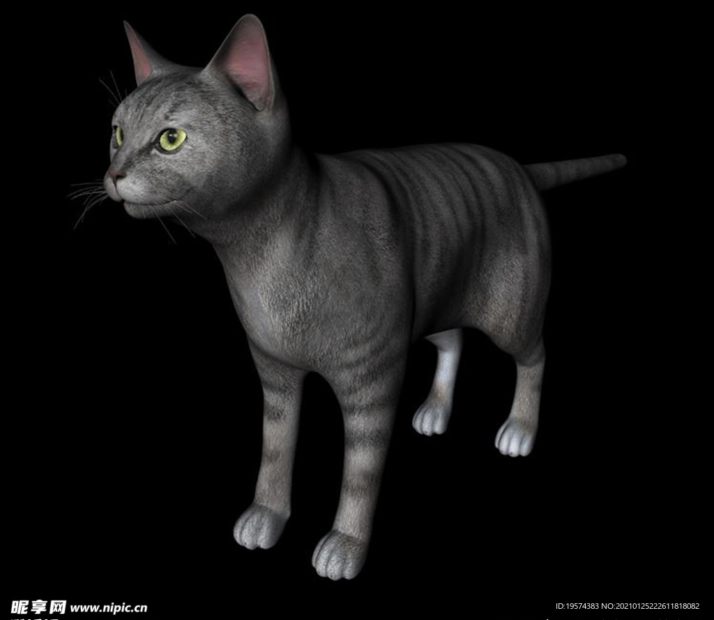 C4D模型 猫