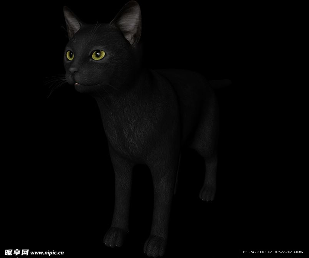 C4D模型 猫