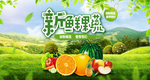 果蔬海报