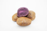 紫洋芋 紫皇后 紫薯 紫土豆