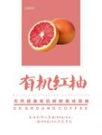 红柚海报