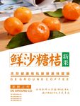 沙糖桔海报