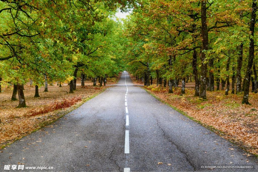 路摄影图__自然风景_自然景观_摄影图库_昵图网