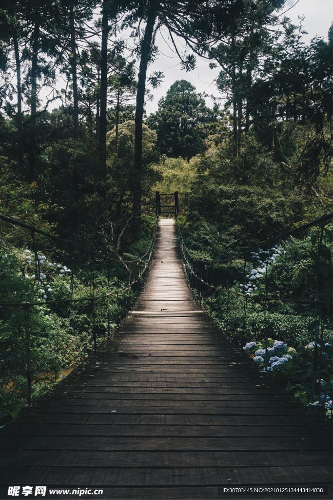 路