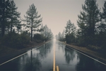 路