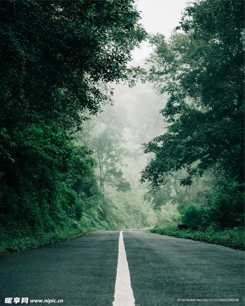 路摄影图__自然风景_自然景观_摄影图库_昵图网