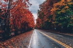 路