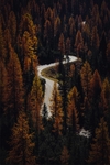 路