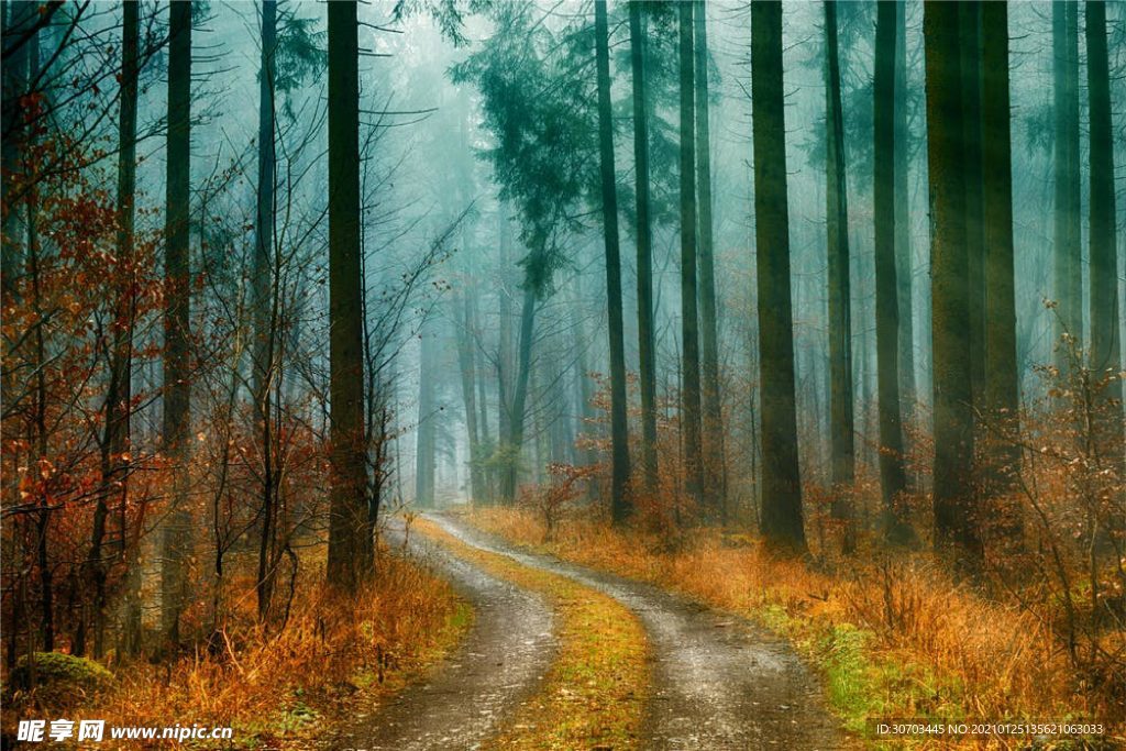 路摄影图__自然风景_自然景观_摄影图库_昵图网