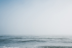 海