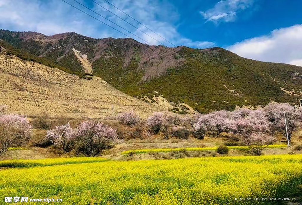 草地 山