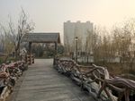 衡水人民公园一景