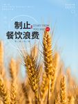光盘行动