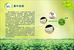 桑葚海报