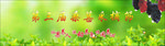 桑葚采摘节