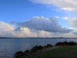 奥克兰海滨黄昏风景